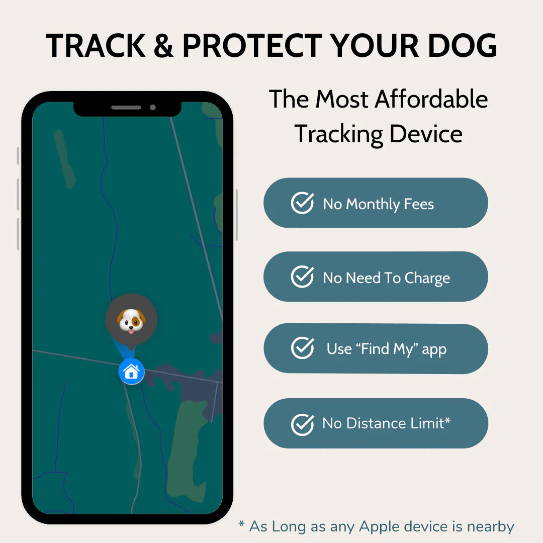 DogPaws® Leather AirTag Collar