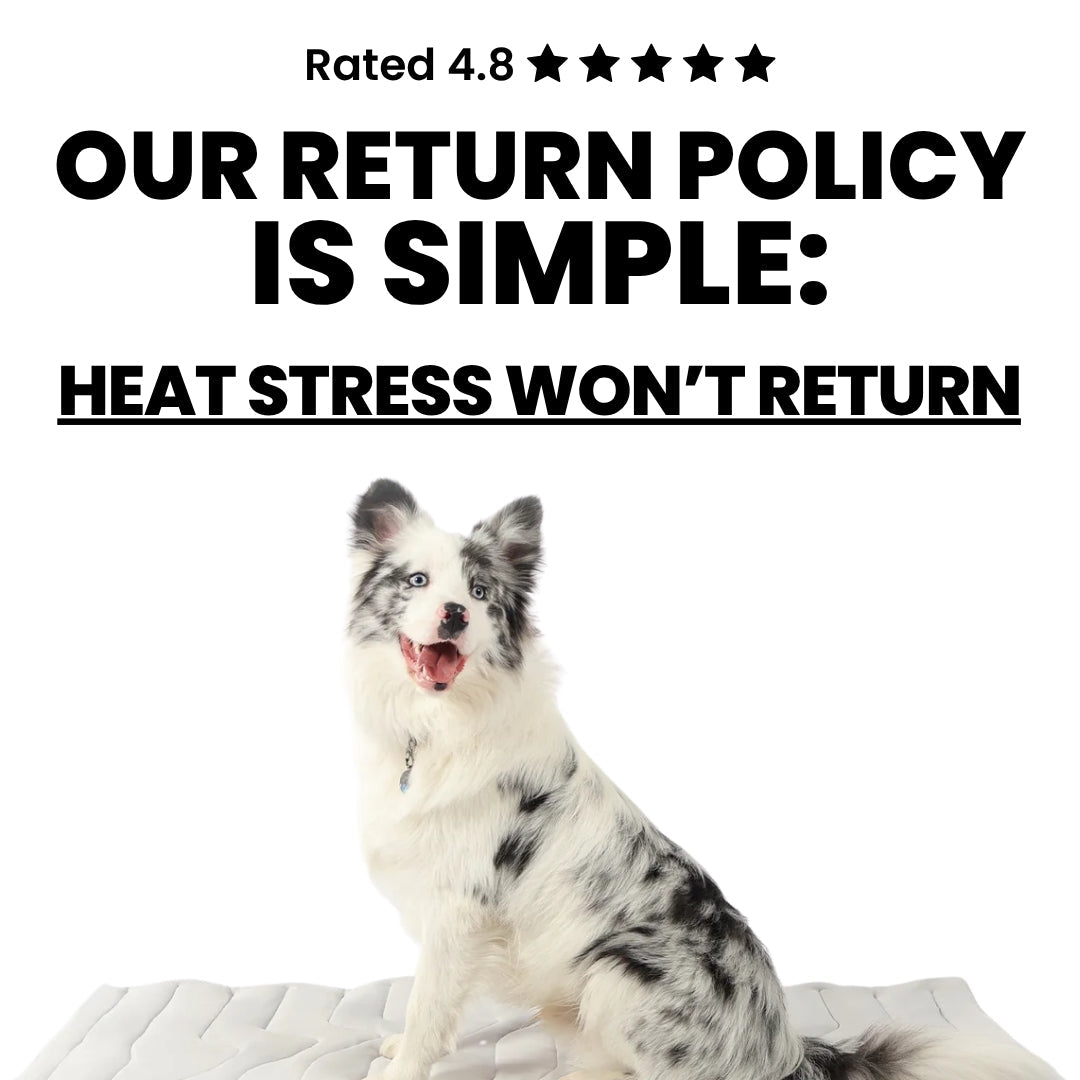 DogPaws® Cooling Mat
