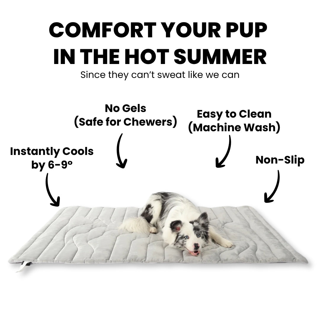 DogPaws® Cooling Mat