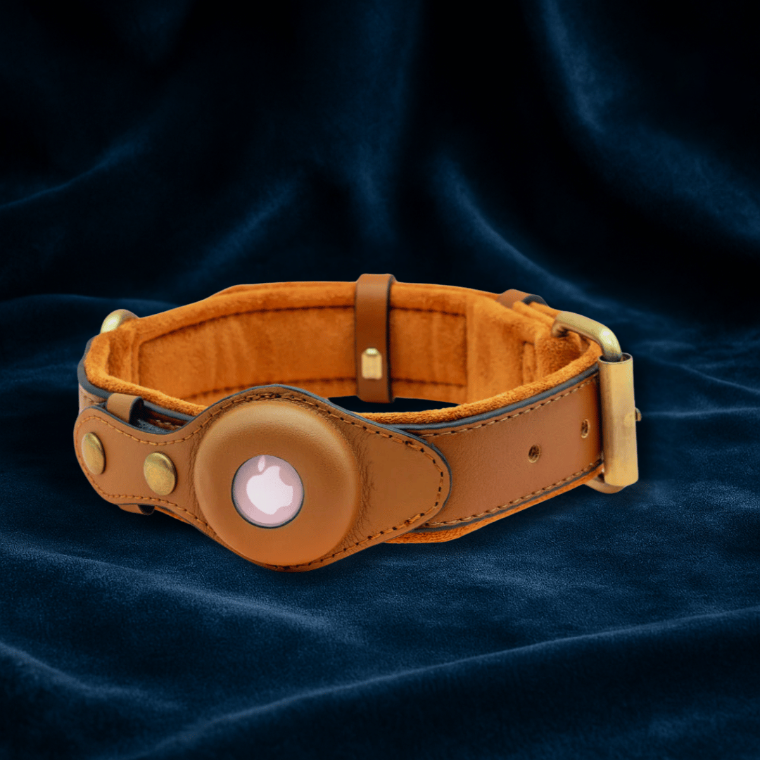DogPaws® Leather AirTag Collar