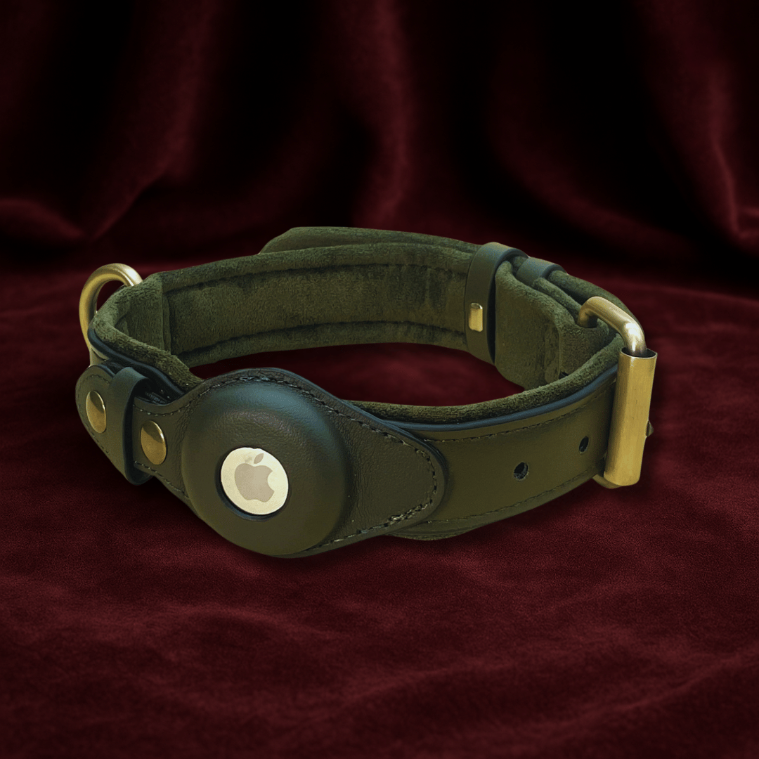 DogPaws® Leather AirTag Collar