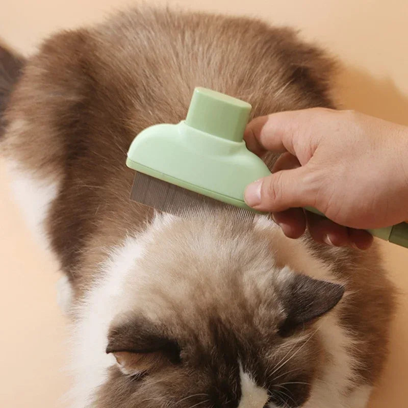 DogPaws® Comb