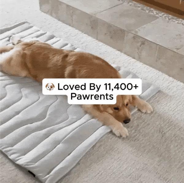 DogPaws® Cooling Mat