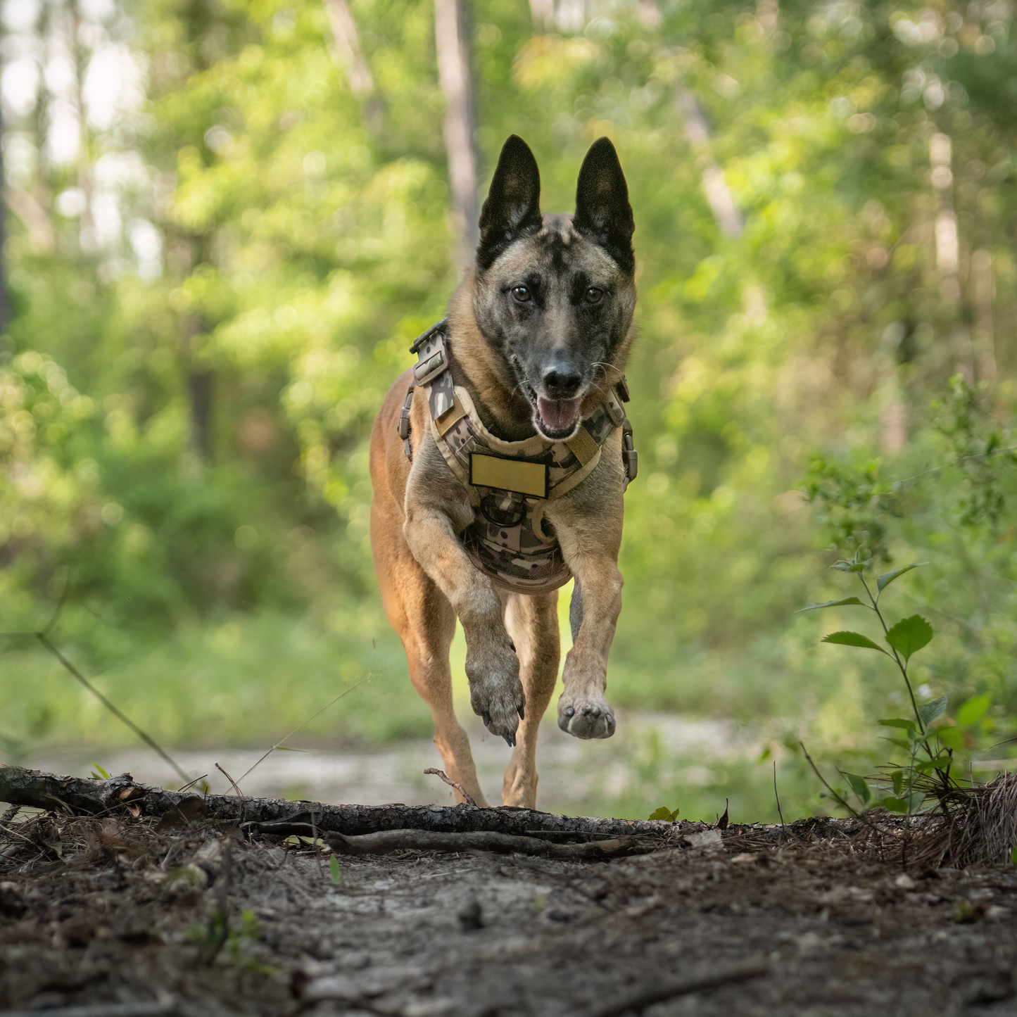 DogPaws® Military-Grade Tactical No-Pull Harness