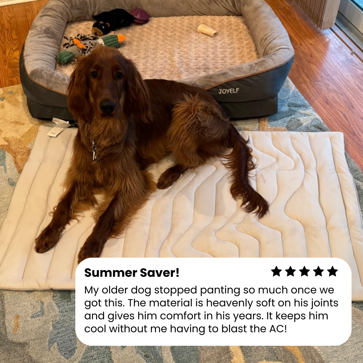DogPaws® Cooling Mat