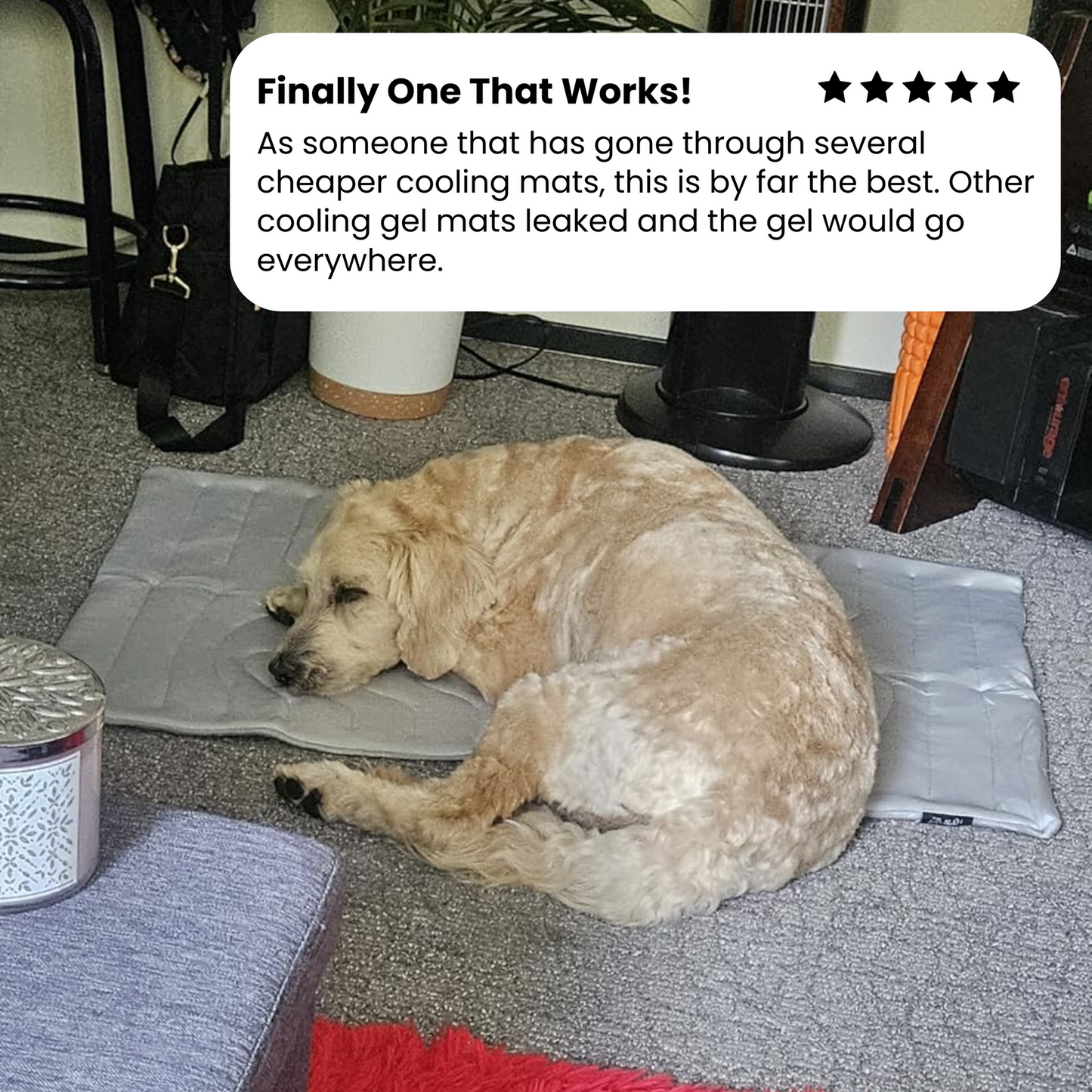 DogPaws® Cooling Mat