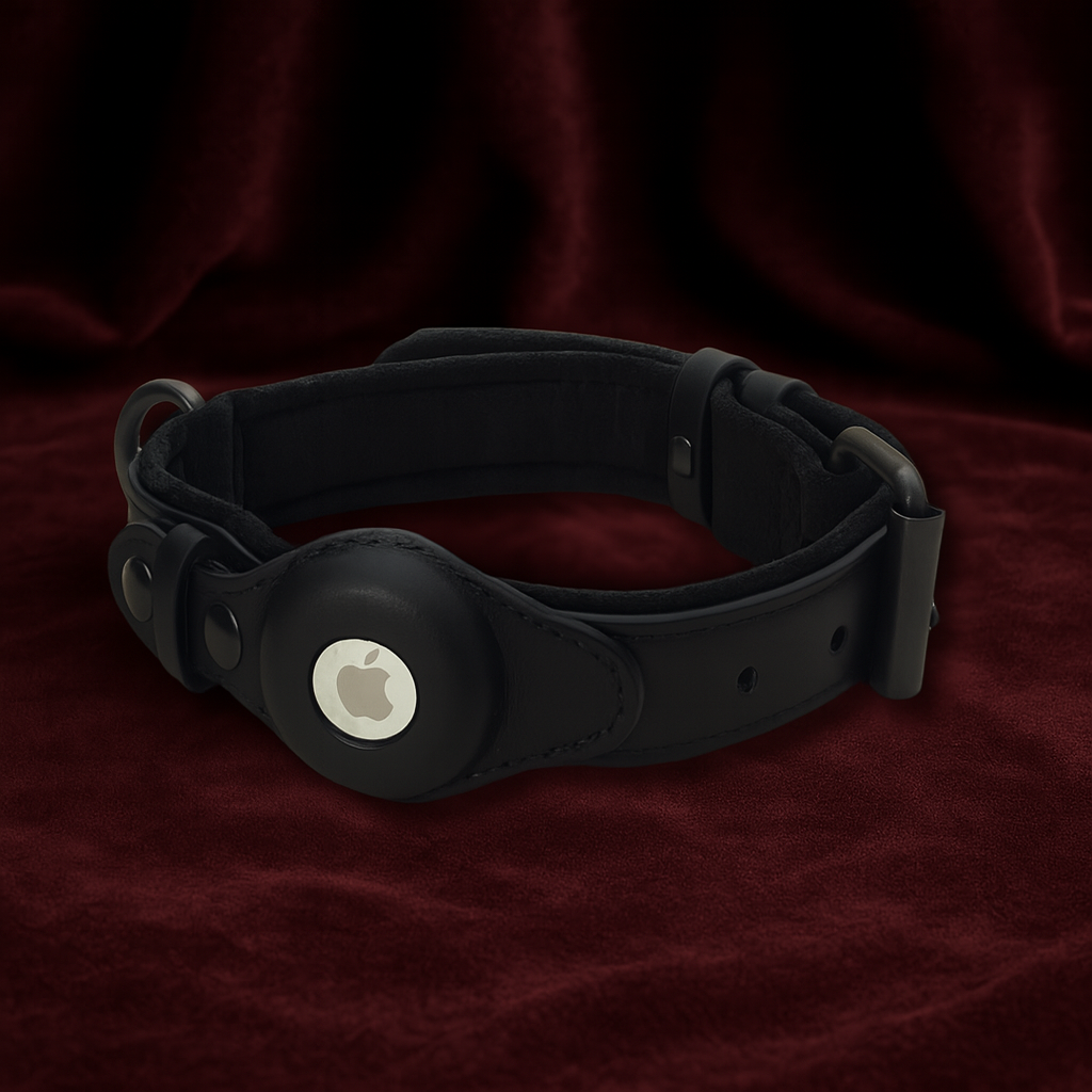 DogPaws® Leather AirTag Collar