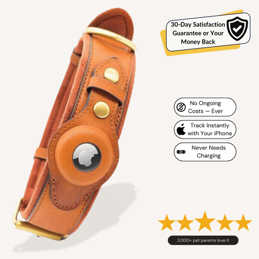 DogPaws® Leather AirTag Collar