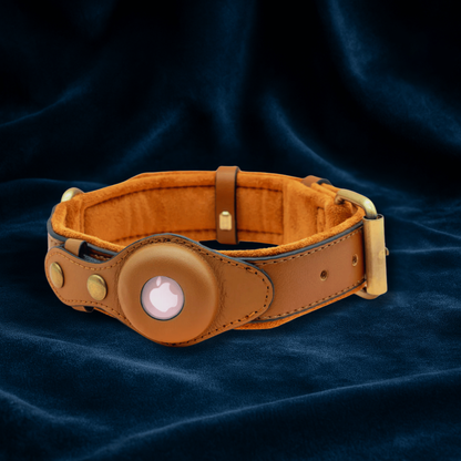 DogPaws® Leather AirTag Collar