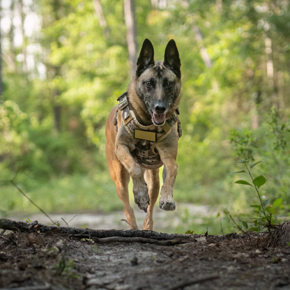DogPaws® Military-Grade Tactical No-Pull Harness