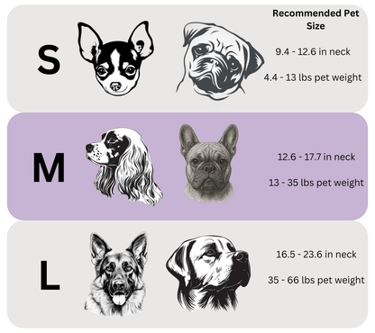 DogPaws® Leather AirTag Collar