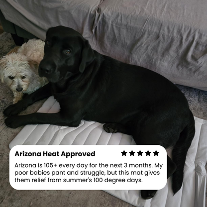 DogPaws® Cooling Mat